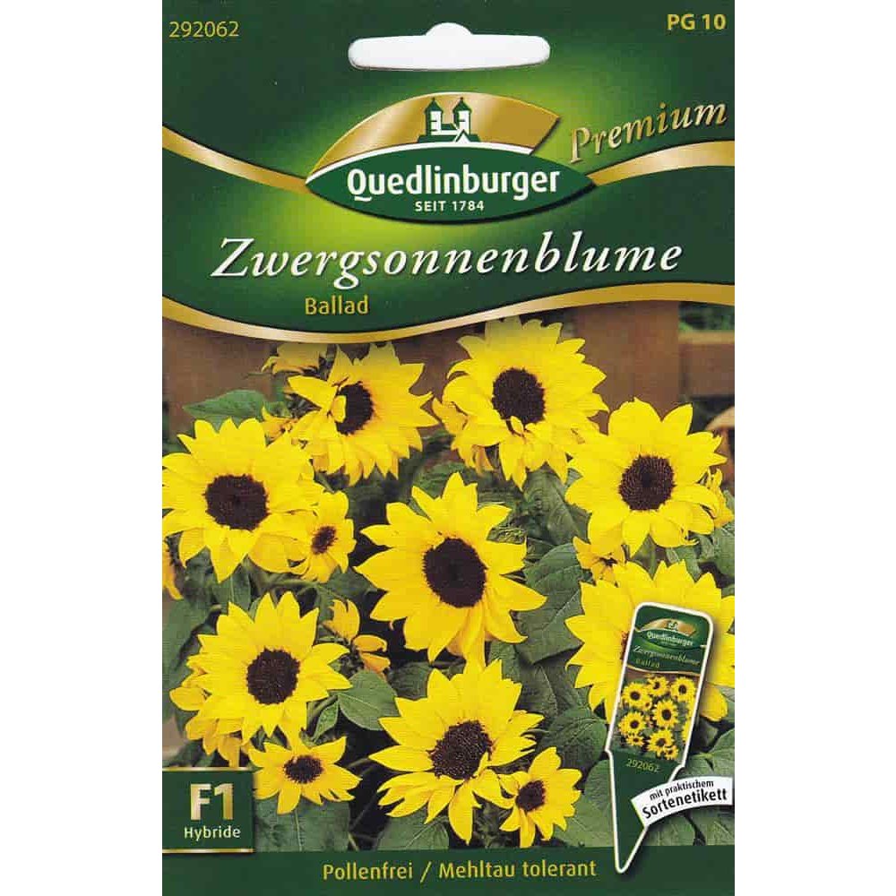 Delfīnija Sunflower, Ballad F1