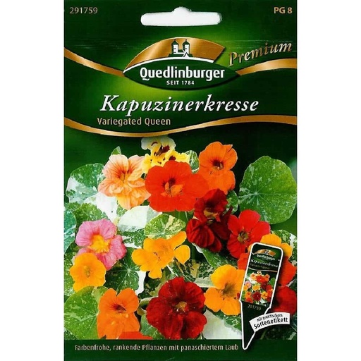 [BONI-291759] Kapucīnerkreisli, raibā karaliene